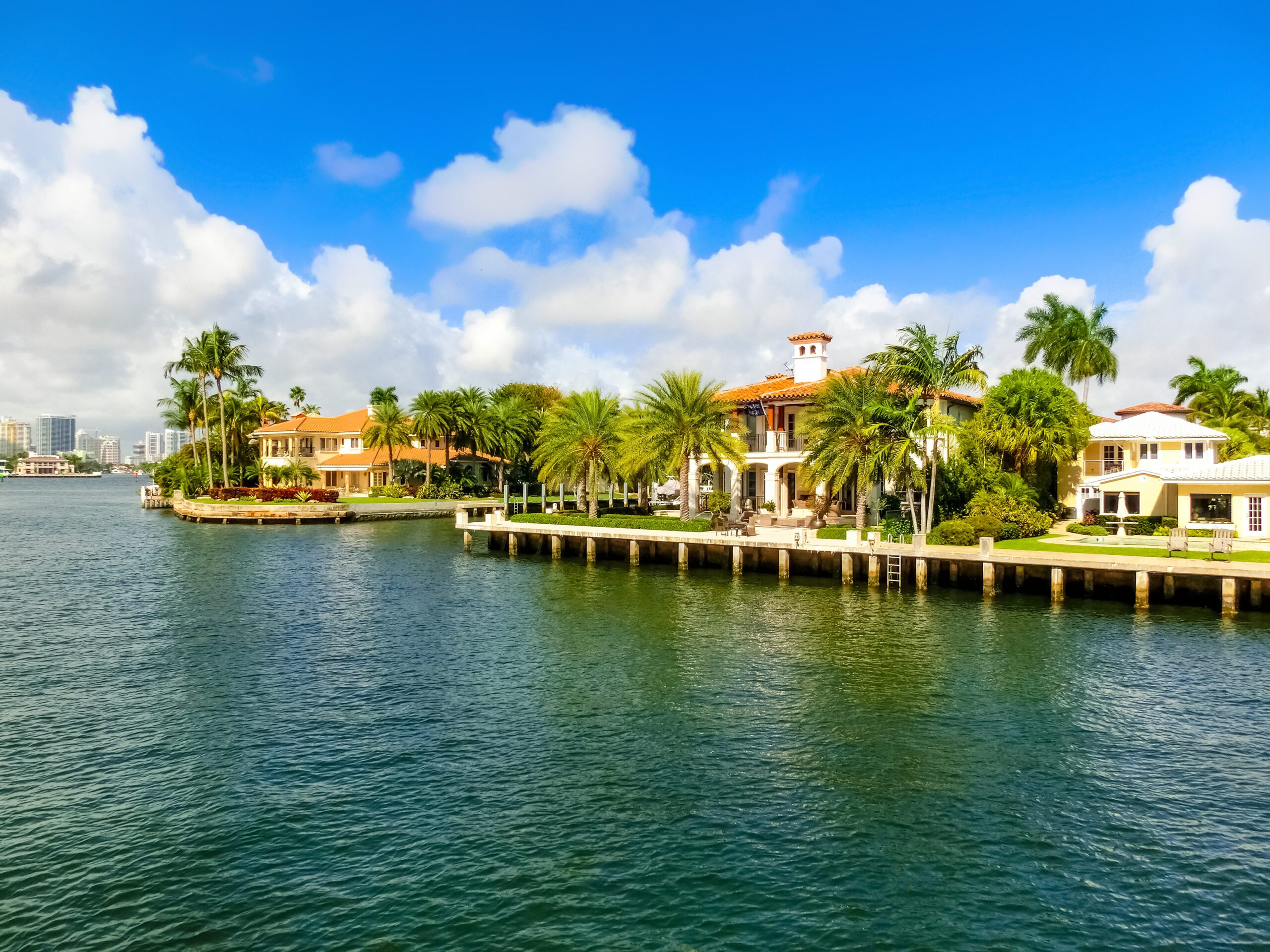 Waterfront homes with palm trees